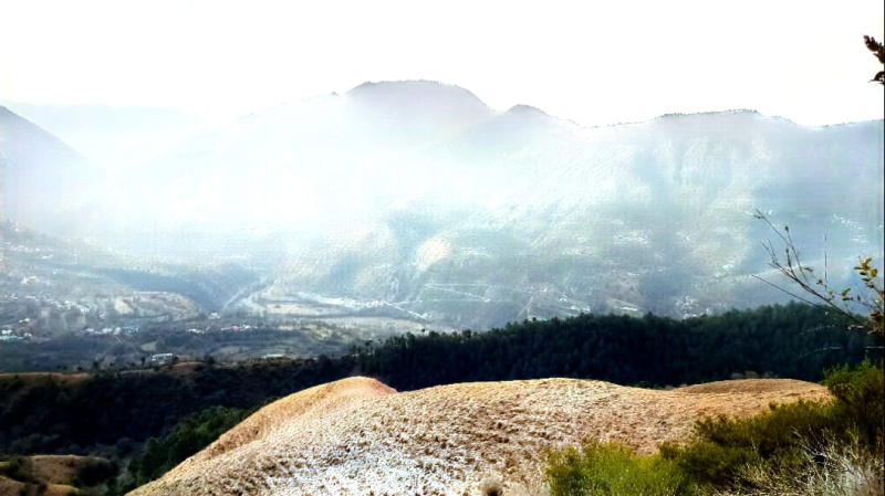  1 Bigha Commercial Land for Sale in Naldehra, Shimla