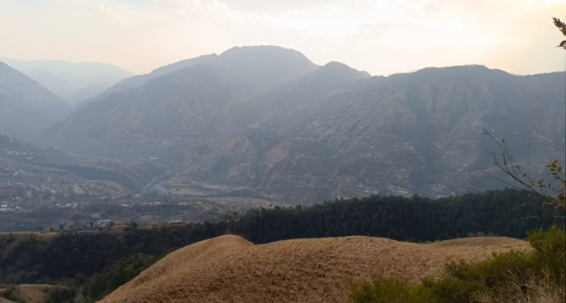  1 Bigha Commercial Land for Sale in Naldehra, Shimla