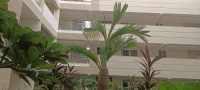 3 BHK Flat for Sale in P. M. Palem, Visakhapatnam