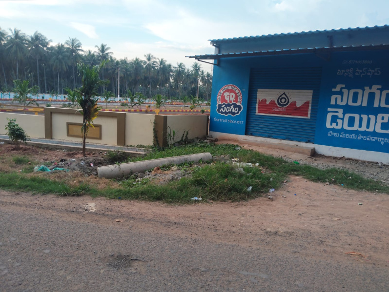  140 Sq. Yards Residential Plot for Sale in Morampudi, Rajahmundry