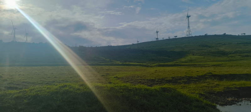  Agricultural Land 40 Acre for Sale in Shirur, Pune