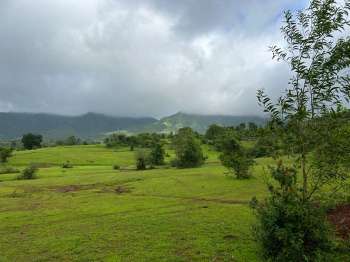  Agricultural Land 3 Acre for Sale in Kamshet, Pune