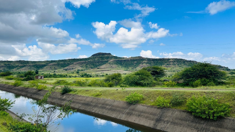  50 Acre Agricultural/Farm Land for Sale in Phaltan, Satara