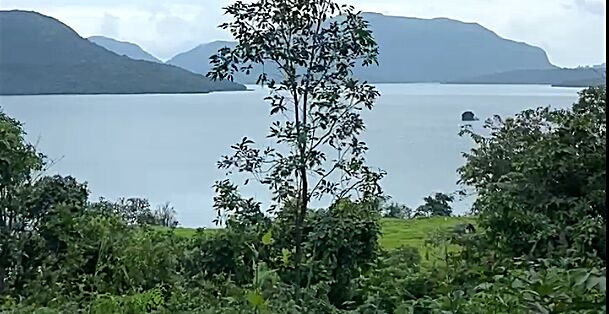  3 Acre Agricultural/Farm Land for Sale in Mulshi, Pune