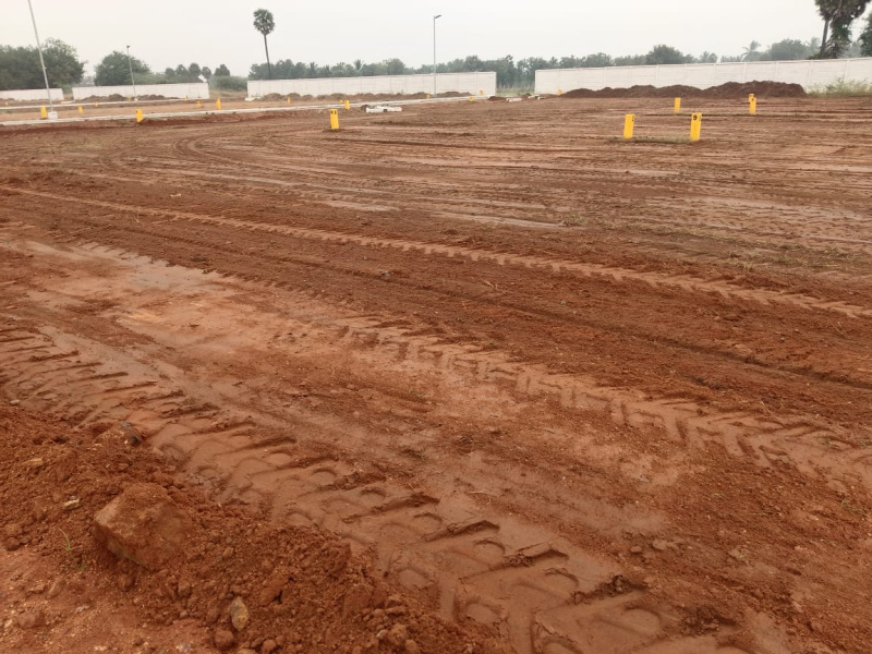  1474 Sq.ft. Residential Plot for Sale in Panjapur, Tiruchirappalli