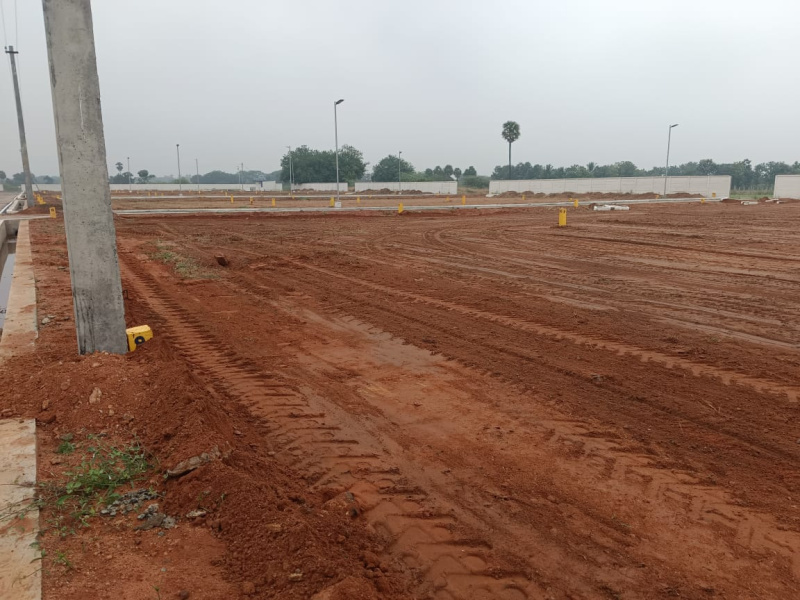  1474 Sq.ft. Residential Plot for Sale in Panjapur, Tiruchirappalli