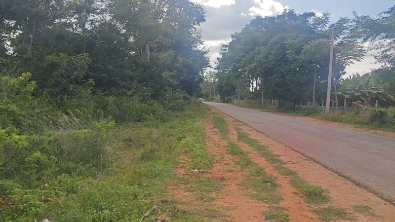  Agricultural Land 3 Acre for Sale in Kanakapura Road, Bangalore