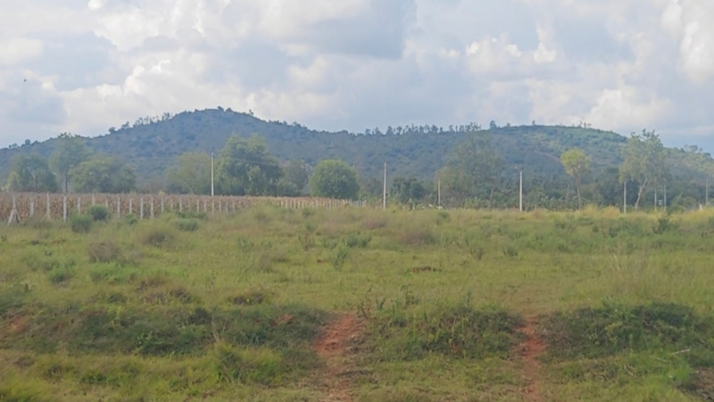  Agricultural Land 3 Acre for Sale in Kanakapura Road, Bangalore