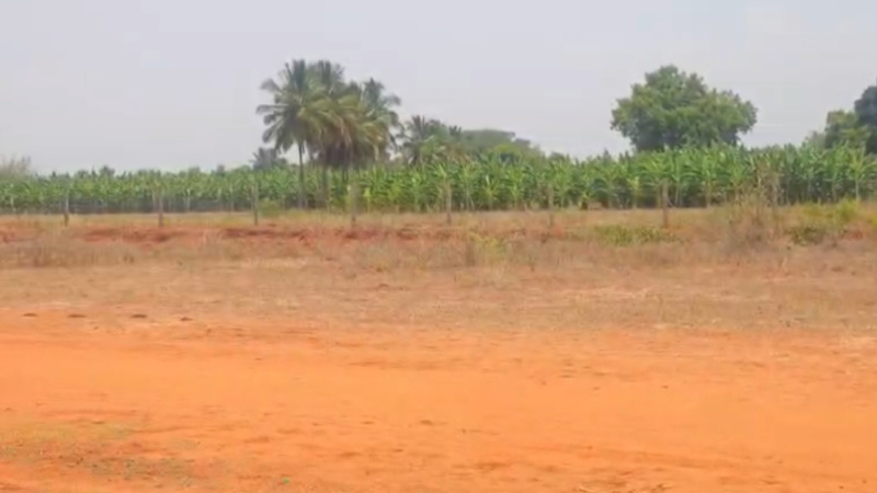  2 Acre Agricultural/Farm Land for Sale in Mysore Road, Bangalore