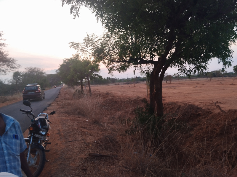  Residential Plot 1750 Sq.ft. for Sale in PANANGADI ROAD, Sivaganga