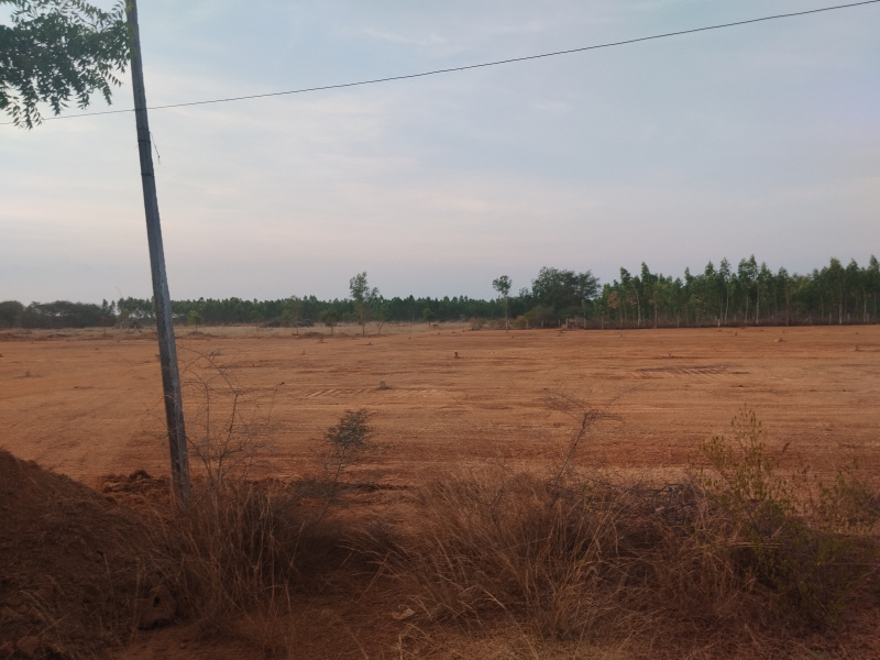  Residential Plot 1750 Sq.ft. for Sale in PANANGADI ROAD, Sivaganga