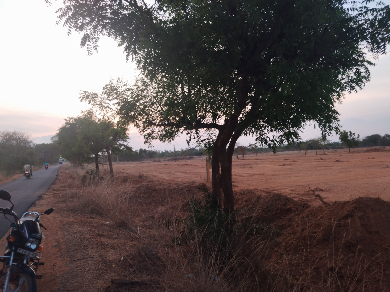  Residential Plot 1750 Sq.ft. for Sale in PANANGADI ROAD, Sivaganga