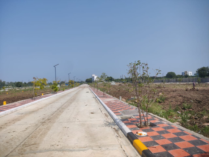  Residential Plot 167 Sq. Yards for Sale in Shankarpally, Rangareddy