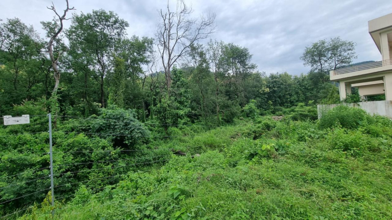 2400 Sq.ft. Residential Plot for Sale in Kathghariya, Haldwani