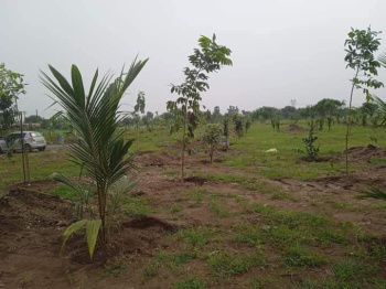  Agricultural Land for Sale in Siruganur, Tiruchirappalli