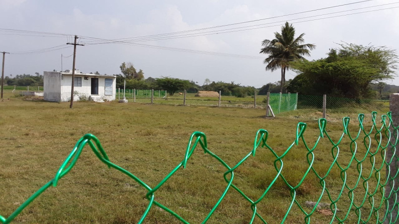  Agricultural Land 2 Acre for Sale in Acharapakkam, Kanchipuram