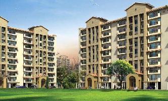 2 BHK Flat for Rent in Sector 66 Gurgaon