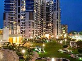 4 BHK Flat for Sale in DLF Phase V, Gurgaon