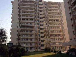 4 BHK Flat for Rent in Sushant Lok Phase I, Gurgaon