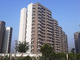 3 BHK Flat for Sale in Sector 55 Gurgaon