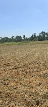  Agricultural Land for Sale in Hunsur Road, Mysore