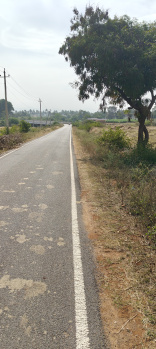  Agricultural Land for Sale in Hunsur Road, Mysore