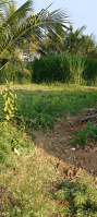  Agricultural Land for Sale in Kollegal, Chamrajnagar
