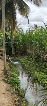  Agricultural Land for Sale in Kollegal, Chamrajnagar