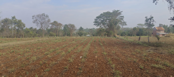  Agricultural Land for Sale in Krishnarajanagar, Mysore