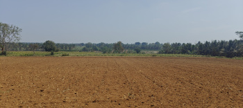 Agricultural Land for Sale in Hunsur Road, Mysore