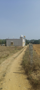  Agricultural Land for Sale in Bangarapet, Kolar