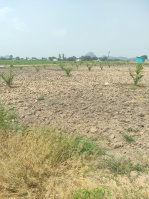  Residential Plot for Sale in Shadnagar, Hyderabad