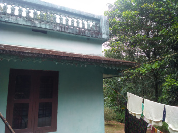  Residential Plot for Sale in Mannarkkad, Palakkad