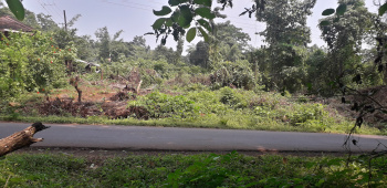  Agricultural Land for Sale in Vaibhavwadi, Sindhudurg