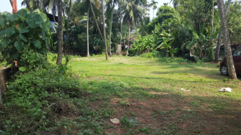  Residential Plot for Sale in Athani, Thrissur