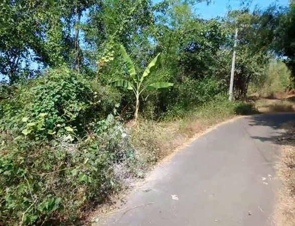  Residential Plot 23 Guntha for Sale in Sawantwadi, Sindhudurg