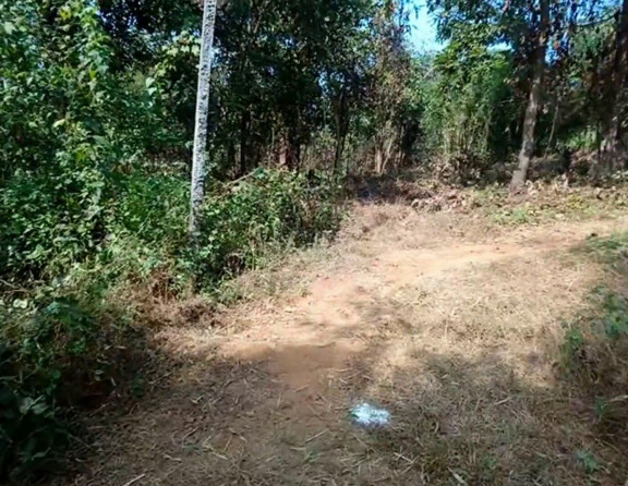  Residential Plot 64 Guntha for Sale in Sawantwadi, Sindhudurg