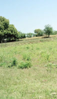 Agricultural Land for Sale in Kurali, Mohali