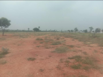  Agricultural Land for Sale in Perumanallur, Tirupur