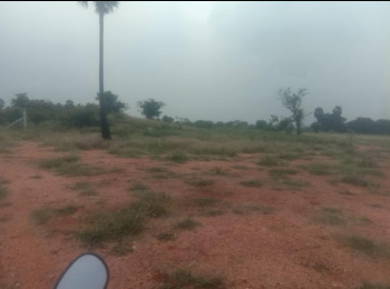  Agricultural Land for Sale in Perumanallur, Tirupur