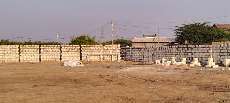  Agricultural Land 8000 Sq. Yards for Rent in Dholera, Ahmedabad