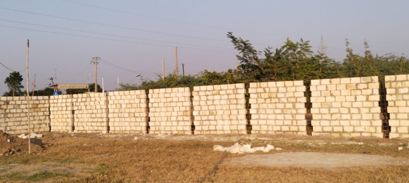  Agricultural Land 8000 Sq. Yards for Rent in Dholera, Ahmedabad