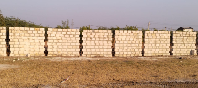  Agricultural Land 8000 Sq. Yards for Rent in Dholera, Ahmedabad