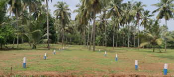  Residential Plot for Sale in Mundupalam, Thrissur