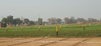  Residential Plot for Sale in Bihta, Patna