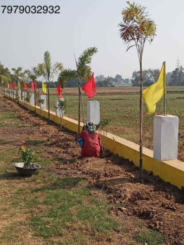  Residential Plot for Sale in Bela, Patna