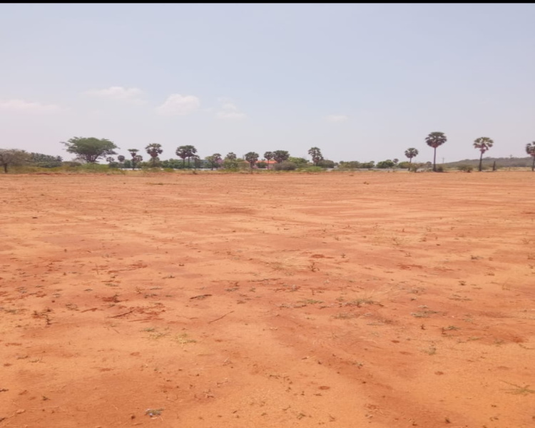  Industrial Land 13 Acre for Sale in Alangulam, Tirunelveli