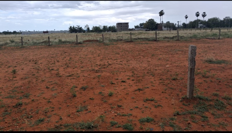  Residential Plot 17 Cent for Sale in Kodeeswaran Nagar, Tirunelveli
