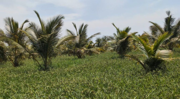  Residential Plot for Sale in Hunsur, Mysore