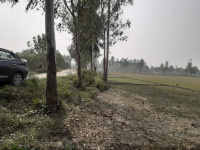  Agricultural Land for Sale in Mundha Pande, Moradabad